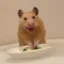 The Evil Hamster icon