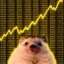 hedge icon