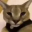 Hecker icon