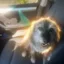 Zhuzha The Dog icon