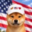 HOTDOG icon