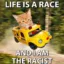 raceist icon