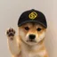 Holder Inu icon