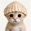 Shell icon