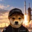 Intense Inu icon