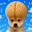 Smart Inu icon