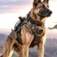 Warhound WarDog icon