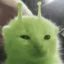 glorp icon