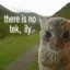 there is no tek, ily icon