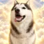 Justice for Kai icon