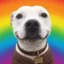 Buddy icon