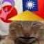 The Great Meme War icon