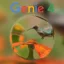 Genie 4 icon