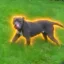 Justice For Debo icon