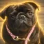 The Immortal Dog icon
