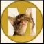 Milletcoin icon