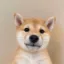 just inu icon