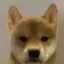 犬 icon