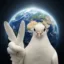 World Peace icon