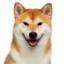 inu icon