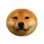 犬 icon