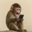 screamandape icon