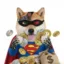 Super Stealing Inu icon