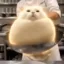 Pan Cat icon
