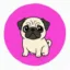 Pugcoin icon
