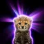 chita icon