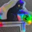 The ZECZY CAT icon