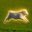 Life Without PVP icon