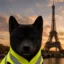 Niggas In Paris icon
