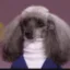 Paul Faecks icon