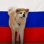 Собака icon