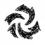 nova 2.0 icon