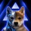 Axiom Inu icon