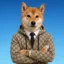 Shiba icon