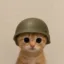 Helmet icon