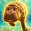 This is Genny icon