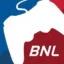 BUY AND LIE icon