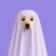 boo icon