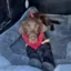 Justice For Bruno icon