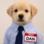 Dan Sullivan Cult icon