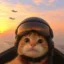 Jet icon