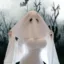 boo-bies icon