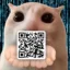 qrcat icon