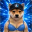 BRA icon