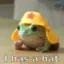 I has a hat icon