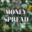 Money Spread icon